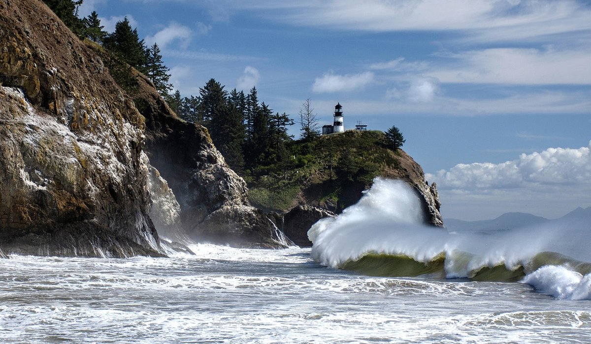 Coastal Foraging for Beginners: Safety First